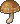 Hazelnut Mushroom.png