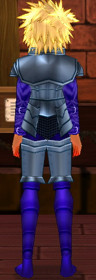 Equipped Claus Knight Armor viewed from the back