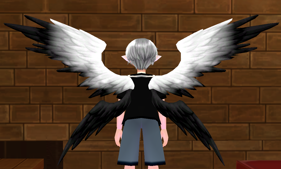 Equipped Scholar Dual Wings viewed from the back