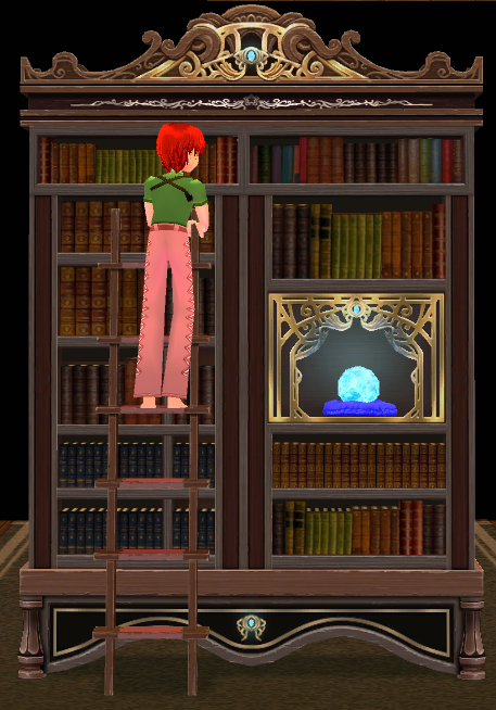Seated preview of Bookshelf with Ladder
