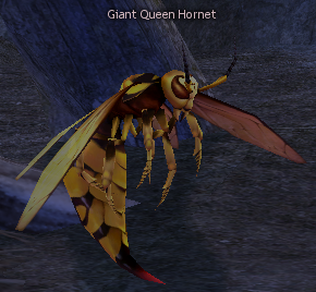 Picture of Giant Queen Hornet