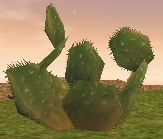 Cactus - Wikipedia