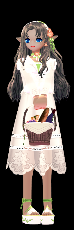 Secret Garden Flower Basket preview.png