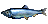 Inventory icon of Herring