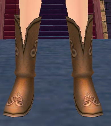 Equipped Royal Alchemist Boots viewed from the front