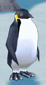 Portrait of The Second Penguin
