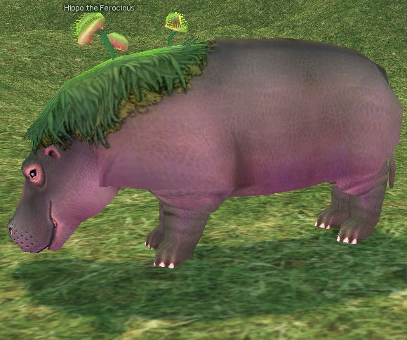 Hippo.png