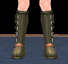 Equipped Giant Flamerider Boots (M) viewed from the front