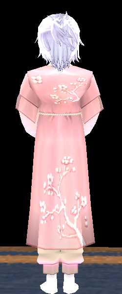Equipped Elegant Hanbok Costume (M) viewed from the back